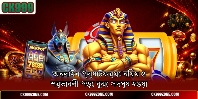 অনলাইন প্ল্যাটফর্মে নিয়ম ও শর্তাবলী পড়ে বুঝে সদস্য হওয়া